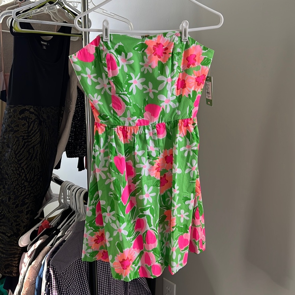 NWT Lilly Pulitzer Peyton Dress